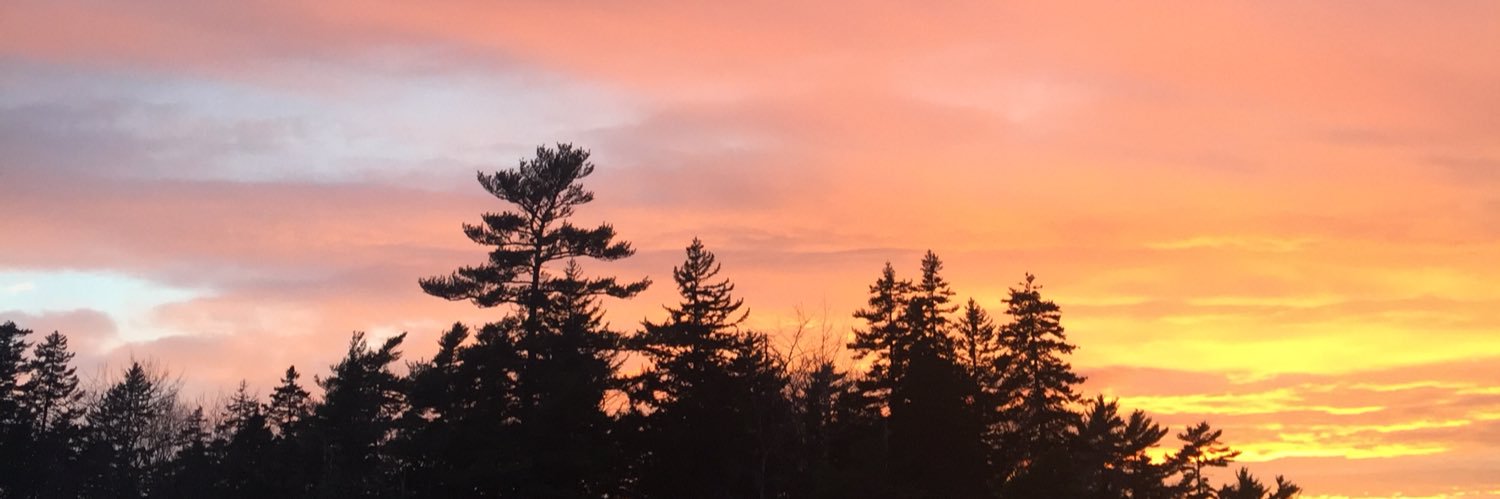 Em1436's profile banner image