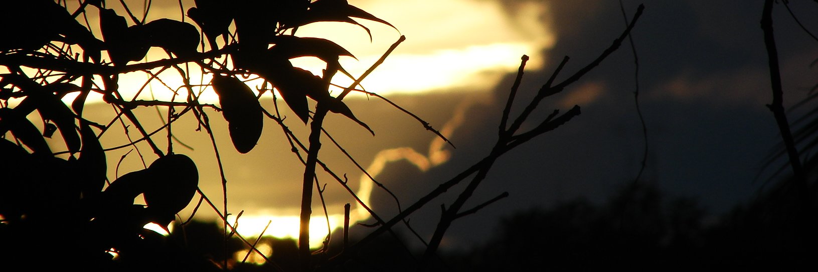 arantxazu's profile banner image