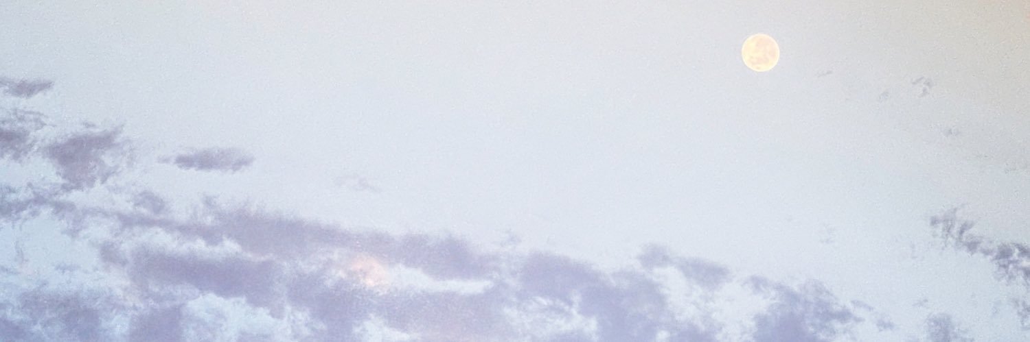RodrigoNoriega's profile banner image