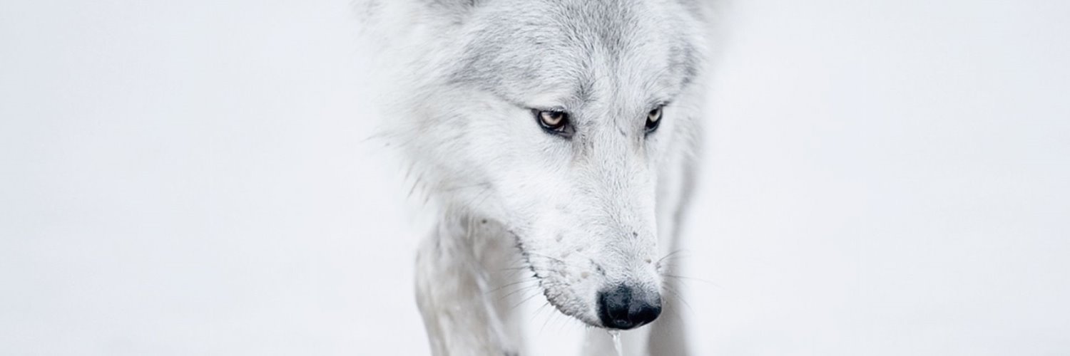 variasqualoo's profile banner image