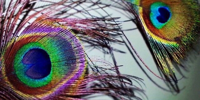 AdjiAyu's profile banner image