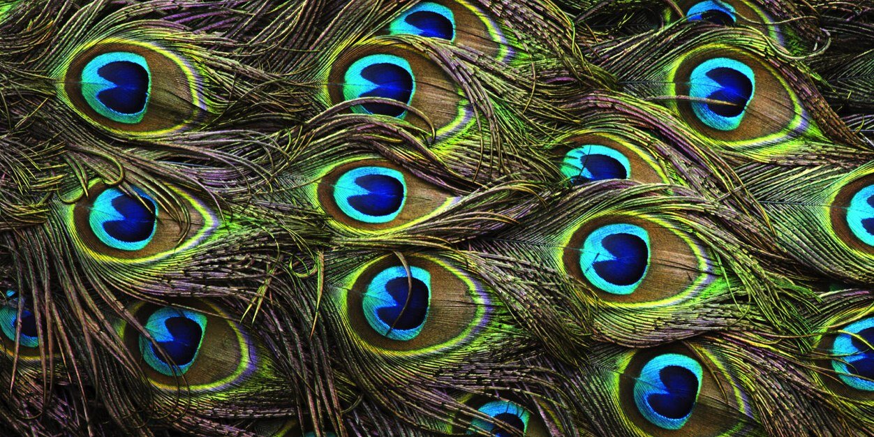 D_Pearson27's profile banner image