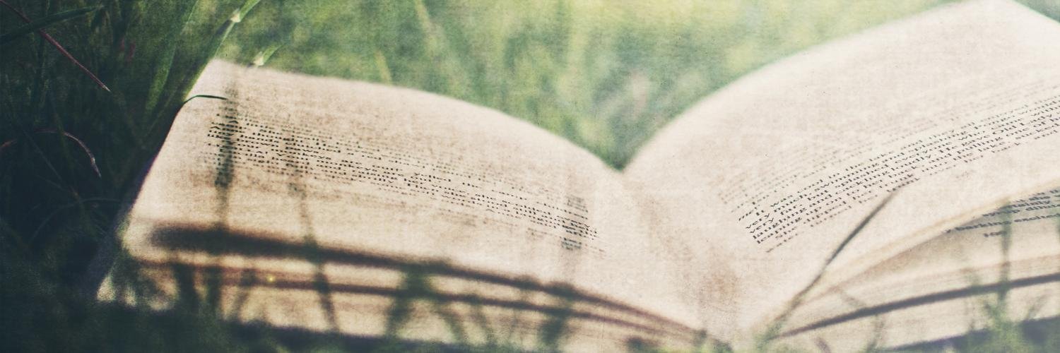Alezzuni 🍁 banner