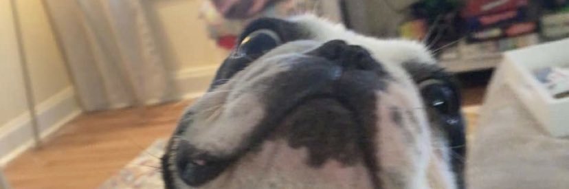 KennedyNewbern's profile banner image