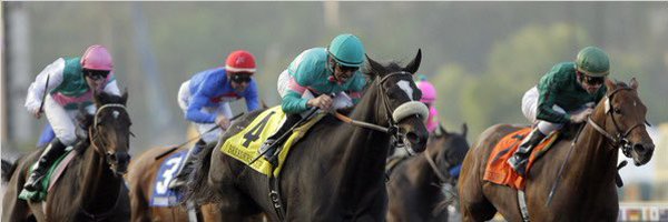 csheehan45 Profile Banner