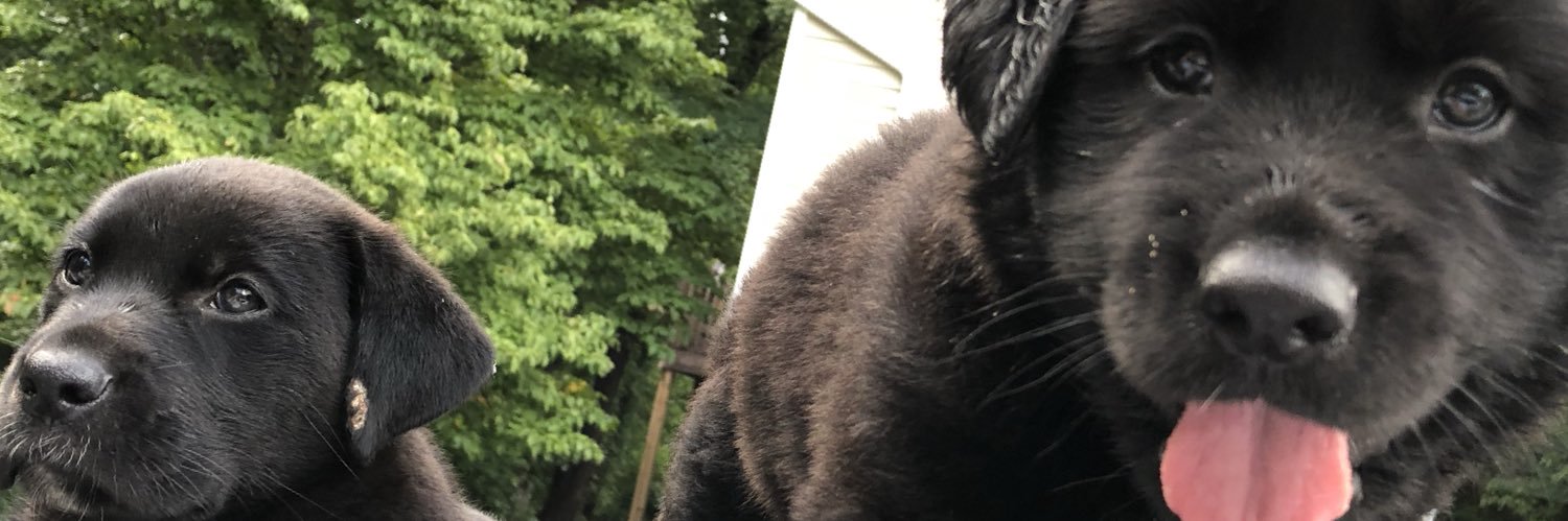 goad_josh22's profile banner image