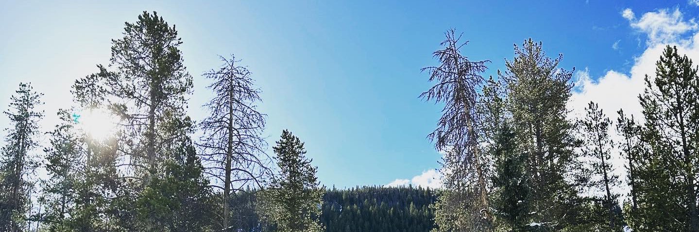 erikesqueda3's profile banner image