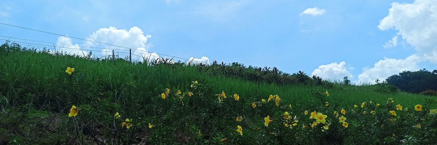 siteurin's profile banner image