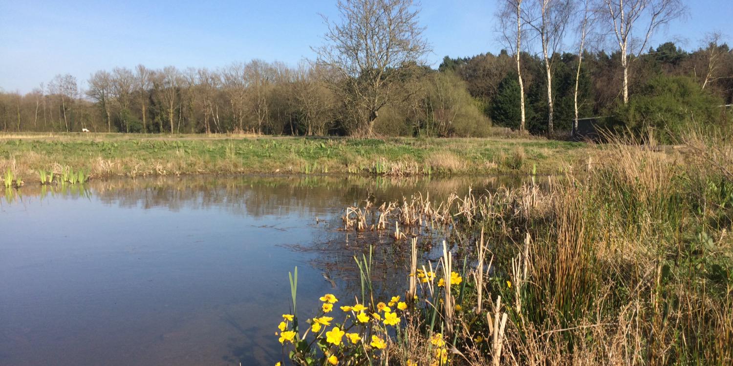 horsell_common's profile banner image