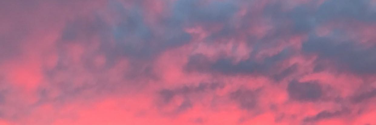adryanneman's profile banner image