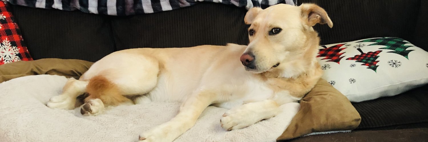 David Marshall banner