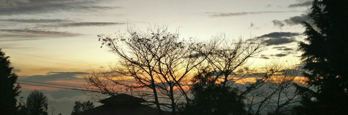 nati1294's profile banner image