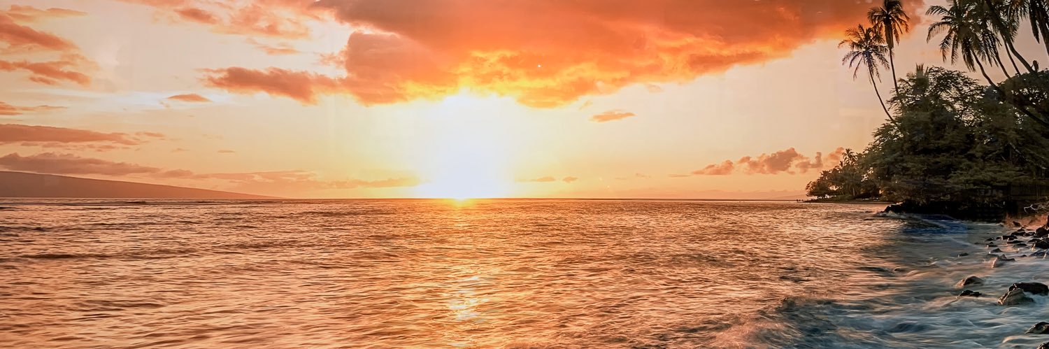 Tylerfranklin8's profile banner image