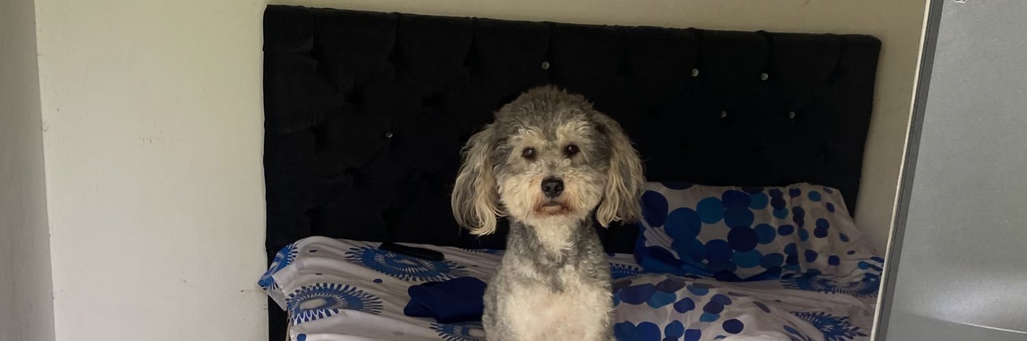 Sergio Hernandez banner