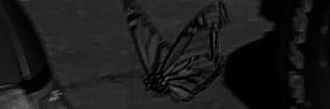 butteurfly's profile banner image