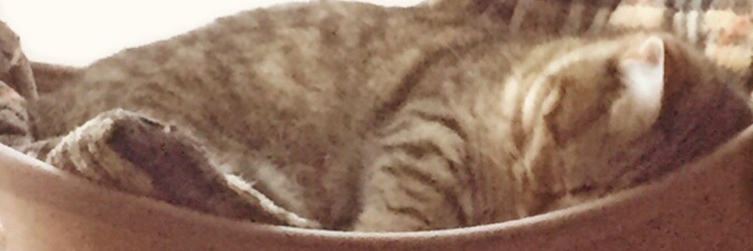 kkytsmm's profile banner image