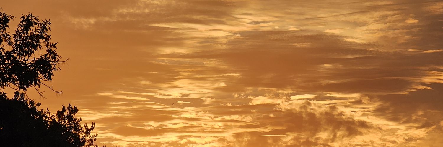 AlkaSmeltzer3's profile banner image