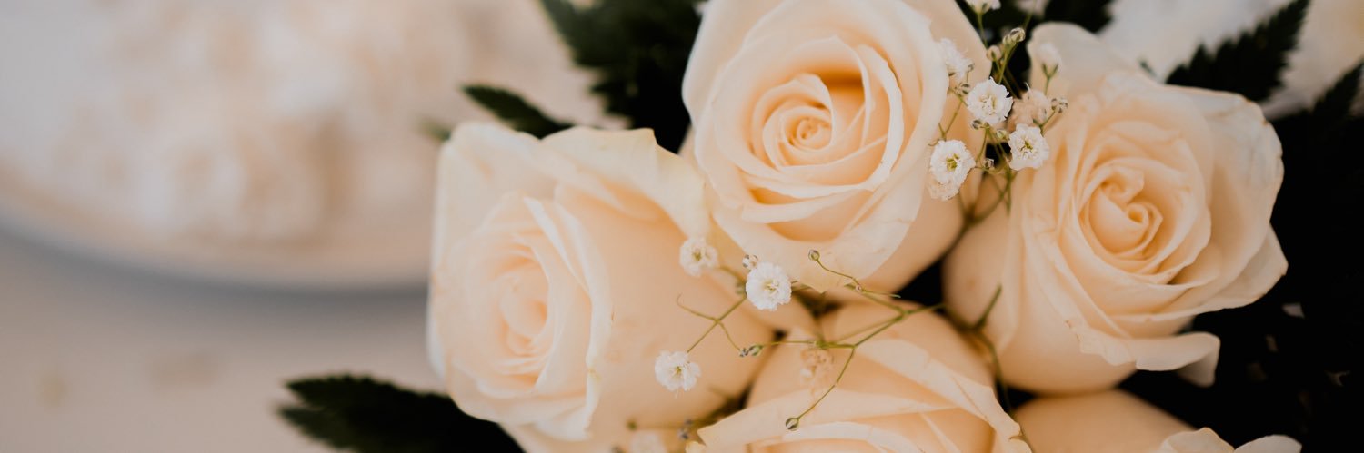 Daisythedonkey's profile banner image
