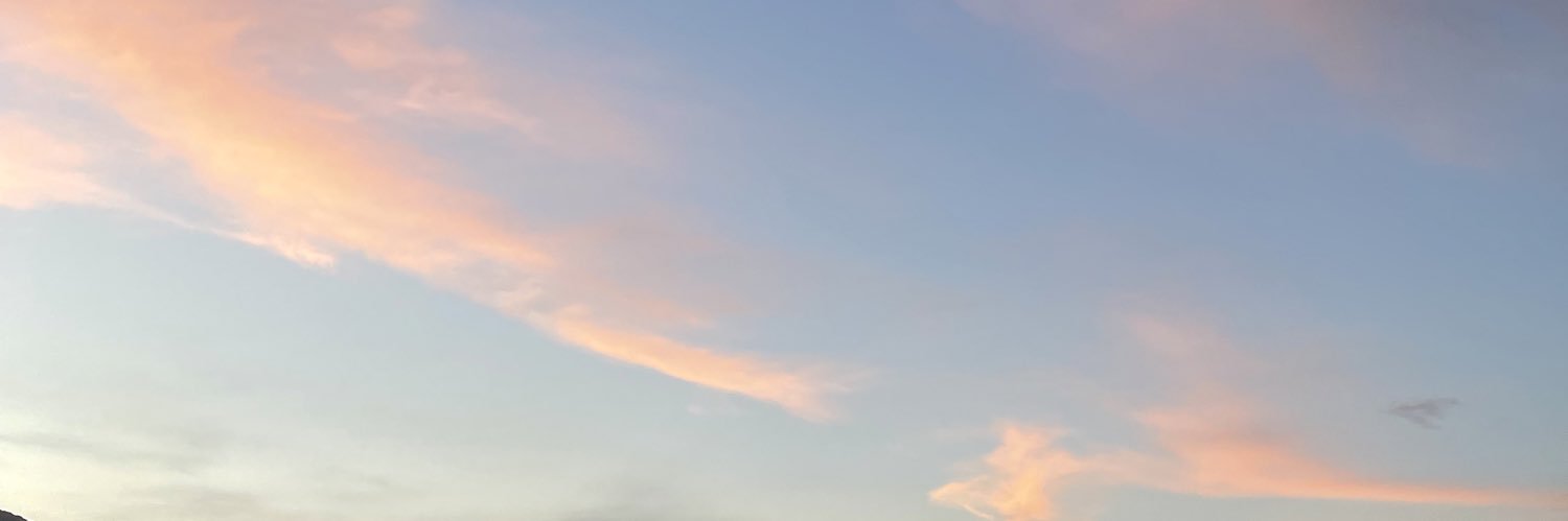 nan_rae's profile banner image