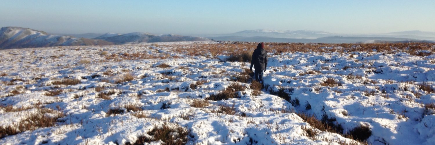 Jonathan Lyness banner