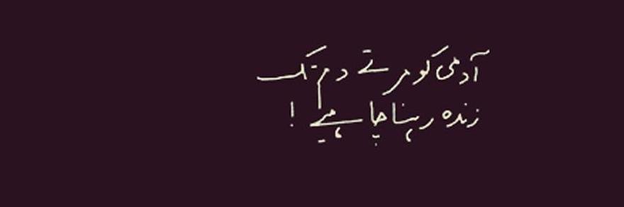 ainee_mainee's profile banner image