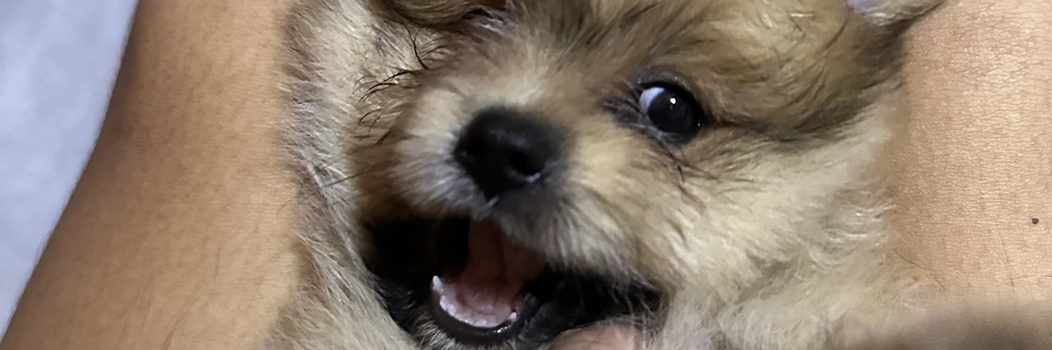 kylehernand3z's profile banner image