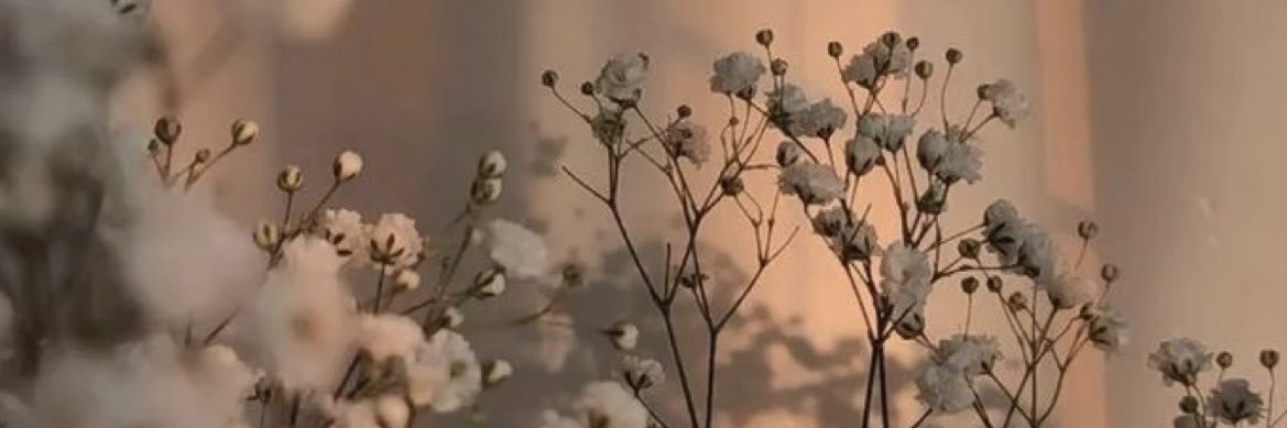 baiileygemmelii's profile banner image