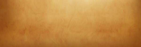 Farhannisa S.Maimoon banner