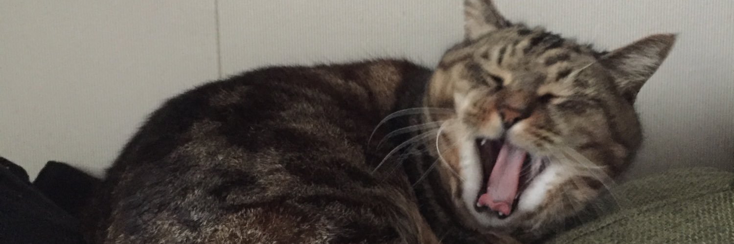 イタチョコたまご banner