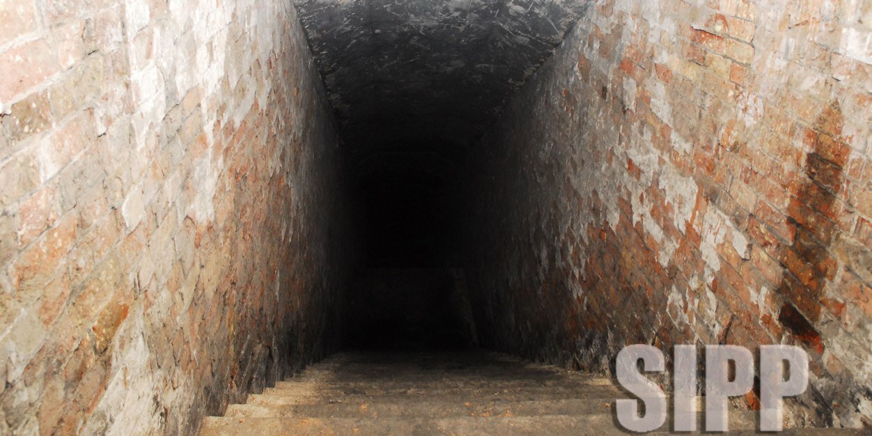 SIPP™ banner
