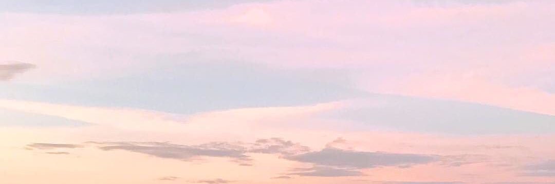 polarbearJM's profile banner image