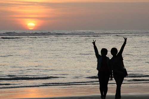 wilda_silvia's profile banner image