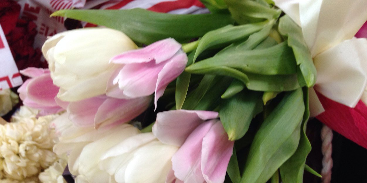 صالحه بنت علي🤍 banner