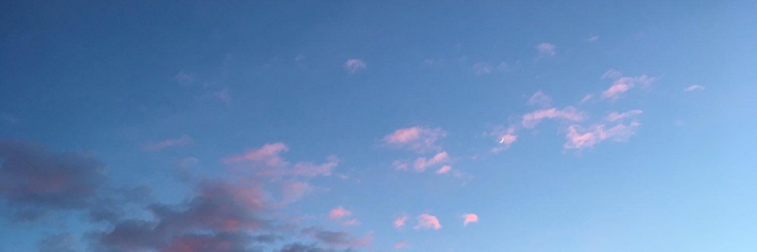 VenturelliF_MD's profile banner image