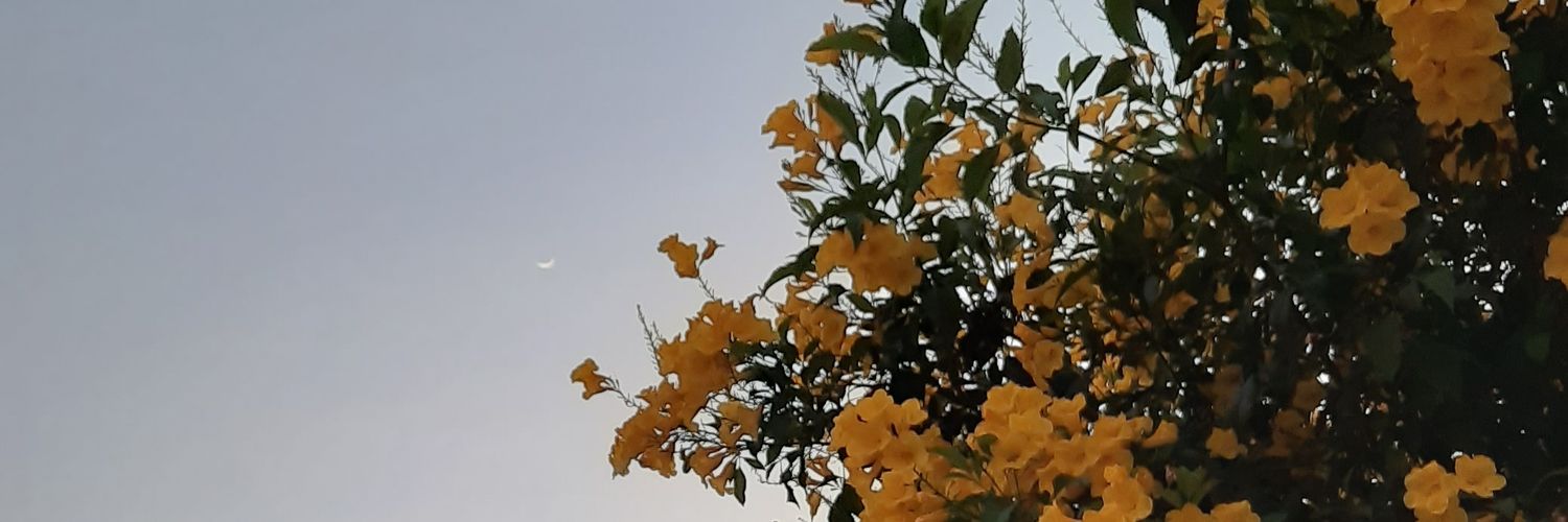 PPLLUNA's profile banner image