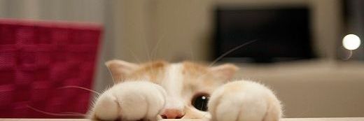 dream_babu's profile banner image