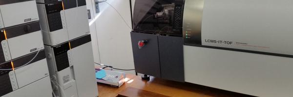 fideletu Profile Banner