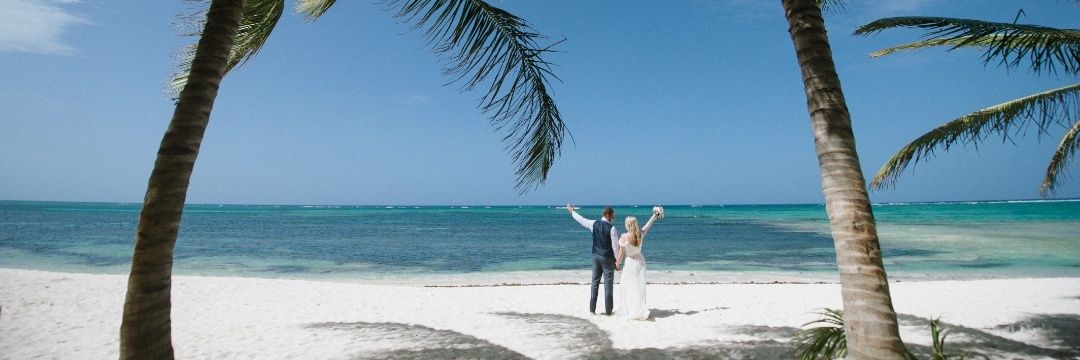 Adine_Jones's profile banner image
