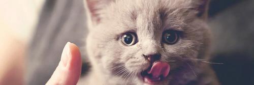 Nursari_Utami24's profile banner image