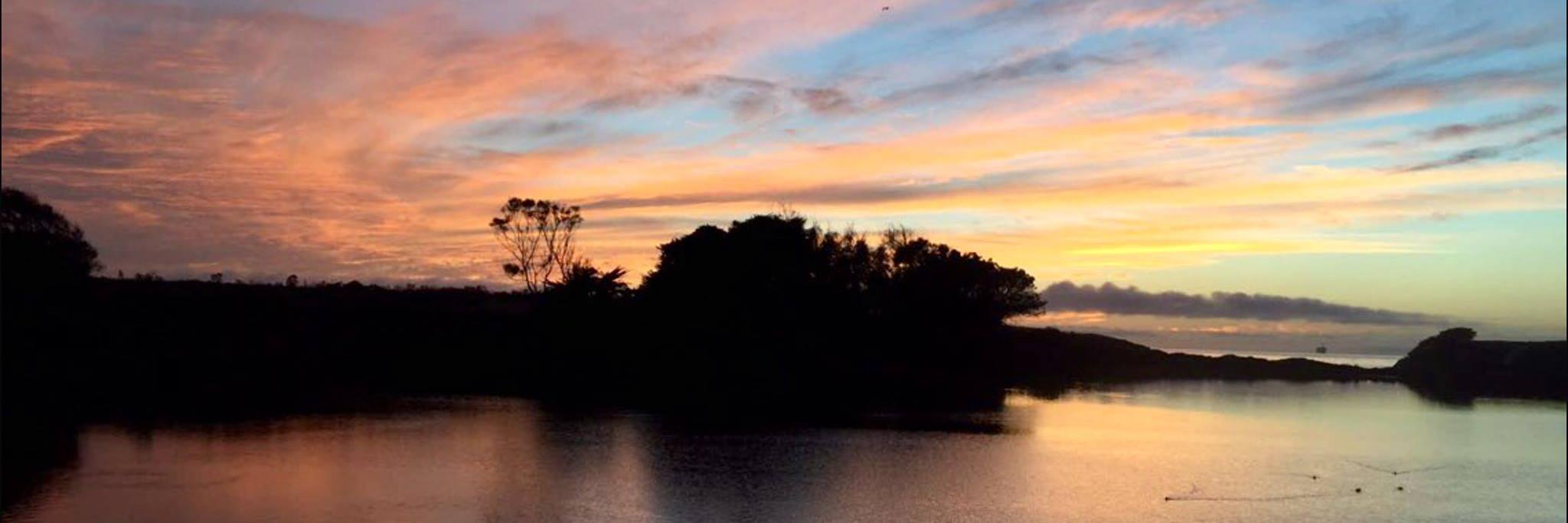 nat banner