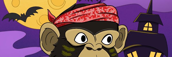 carltonsestore's profile banner image