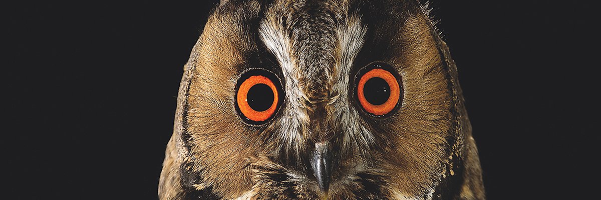 Gasometer Oberhausen banner