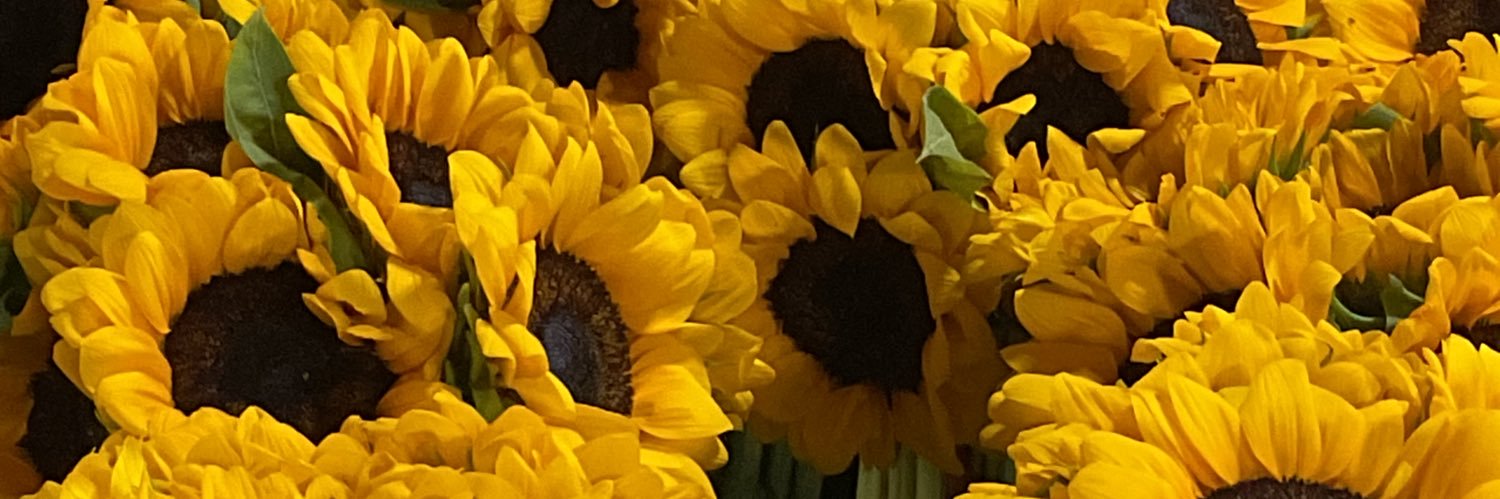 _jacerocabo's profile banner image
