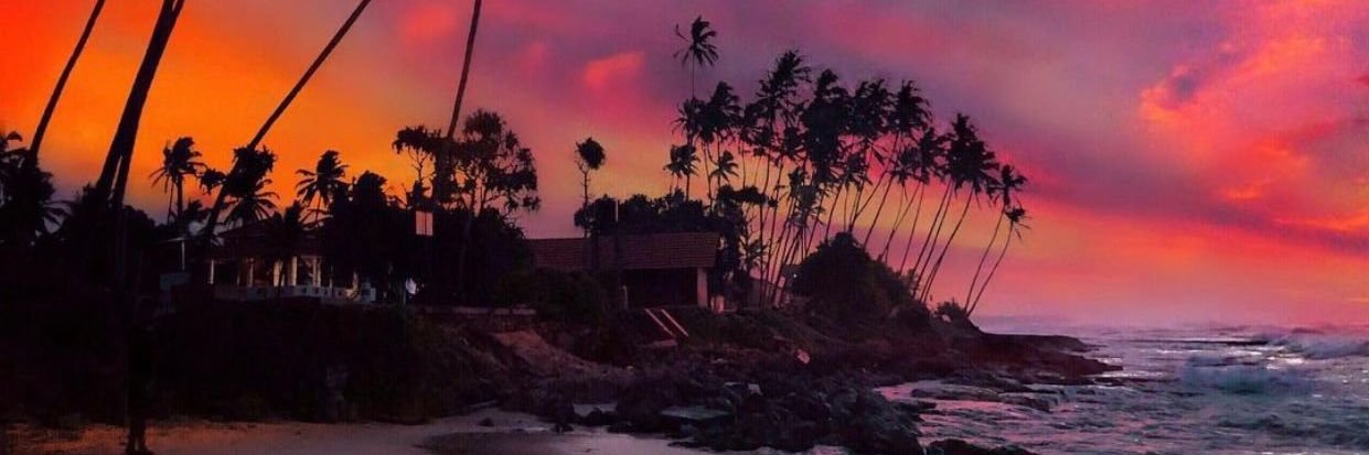 D J 🎀🌸💖 banner