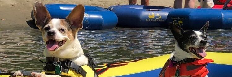 Regular Human Bartender banner