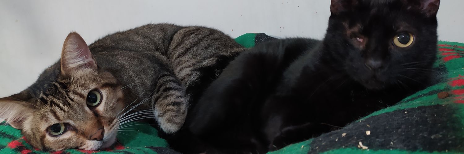 Gatuneas's profile banner image