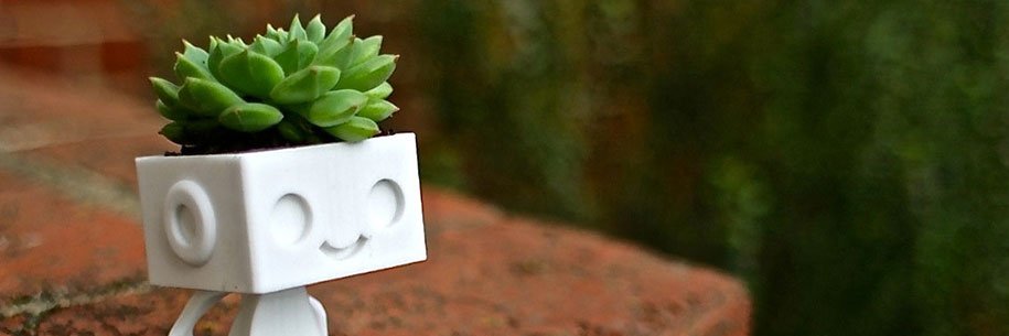 Crazyflowerpot banner