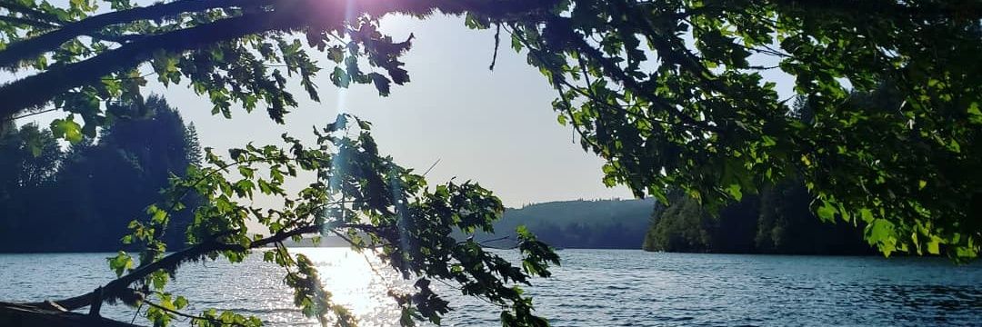 ivony118's profile banner image