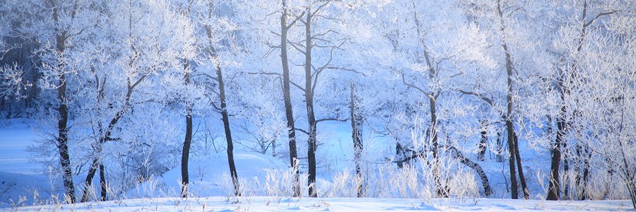 Chacu9's profile banner image