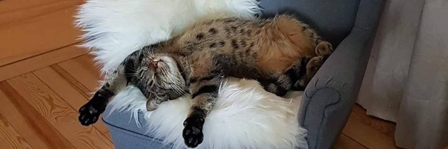 RealEsther77's profile banner image